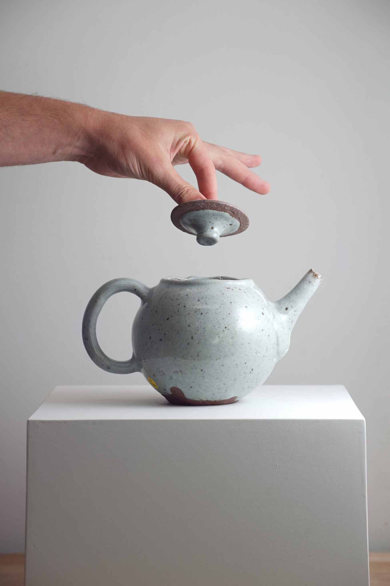 Teapot - Speckled Celadon